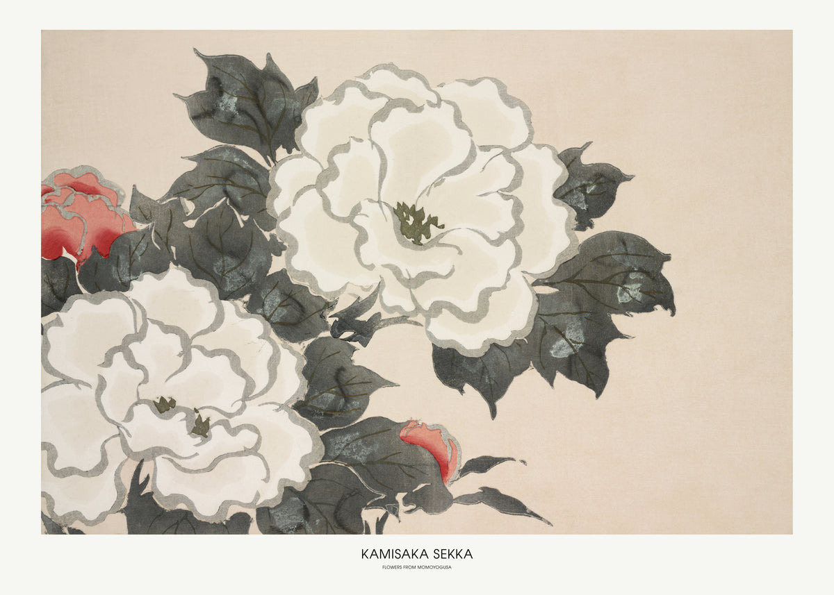 Flowers From Momoyogusa - Unframed art print