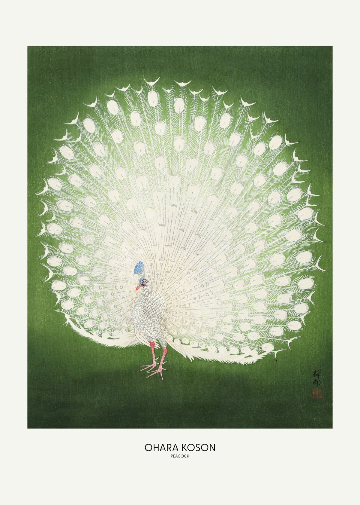 Peacock - Wide - Unframed art print
