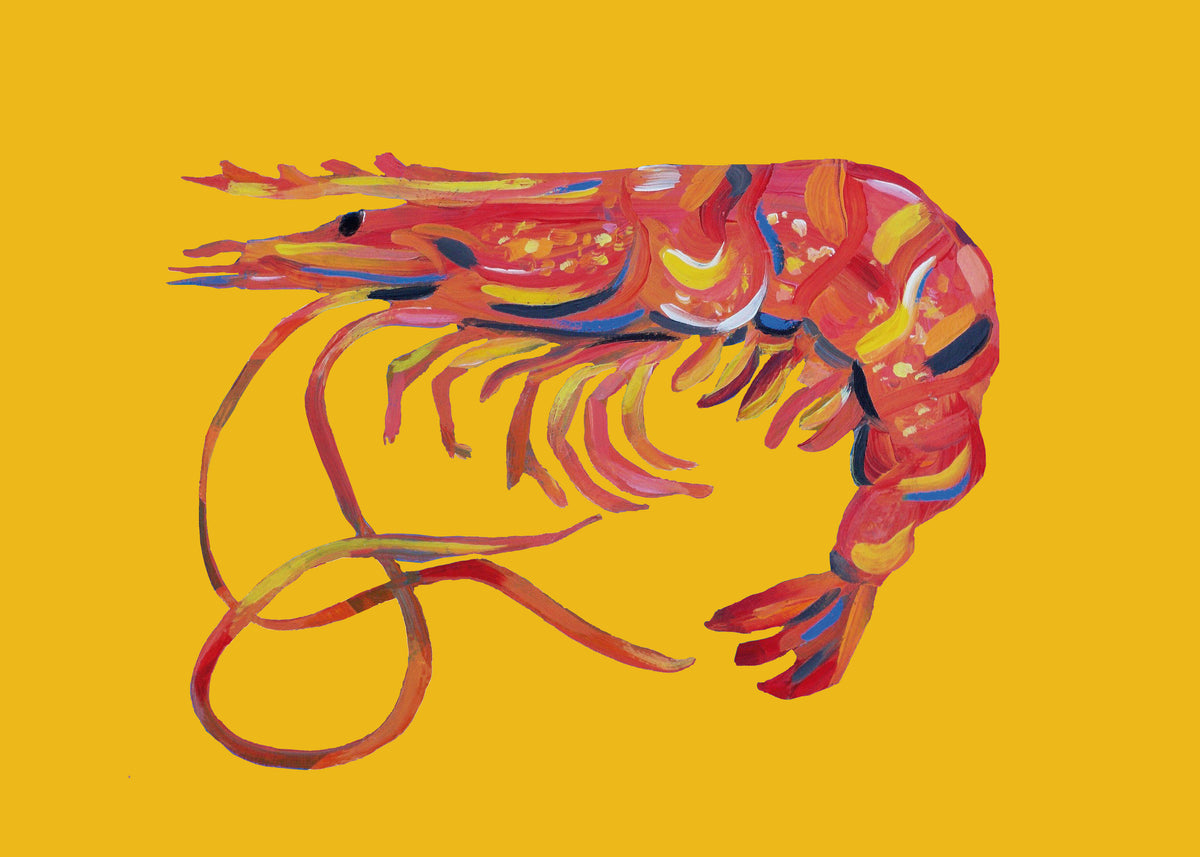 Prawn On Yellow - Unframed art print