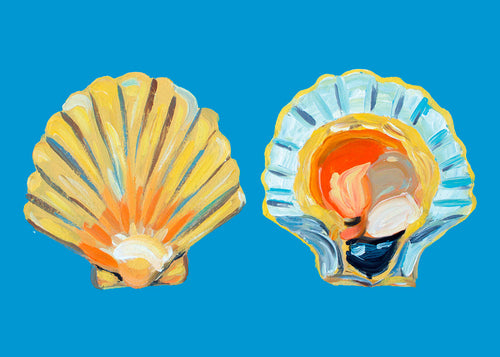 Scallops On Blue