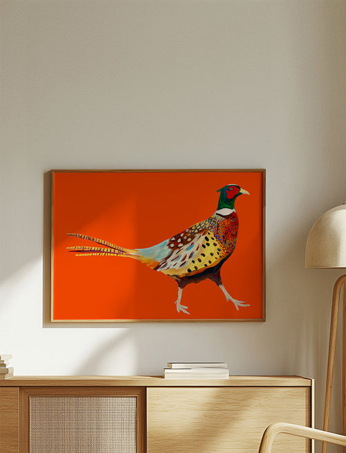 Strutting Pheasant On Orange