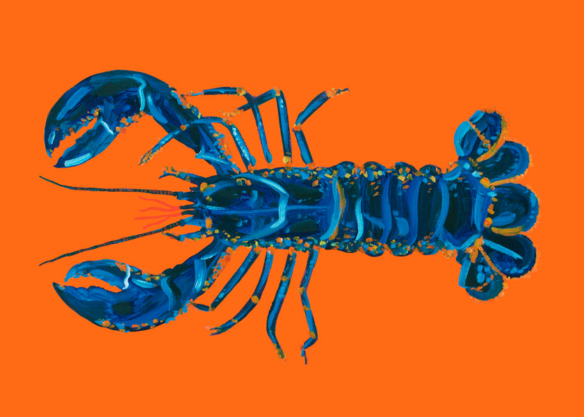 Lobster On Orange