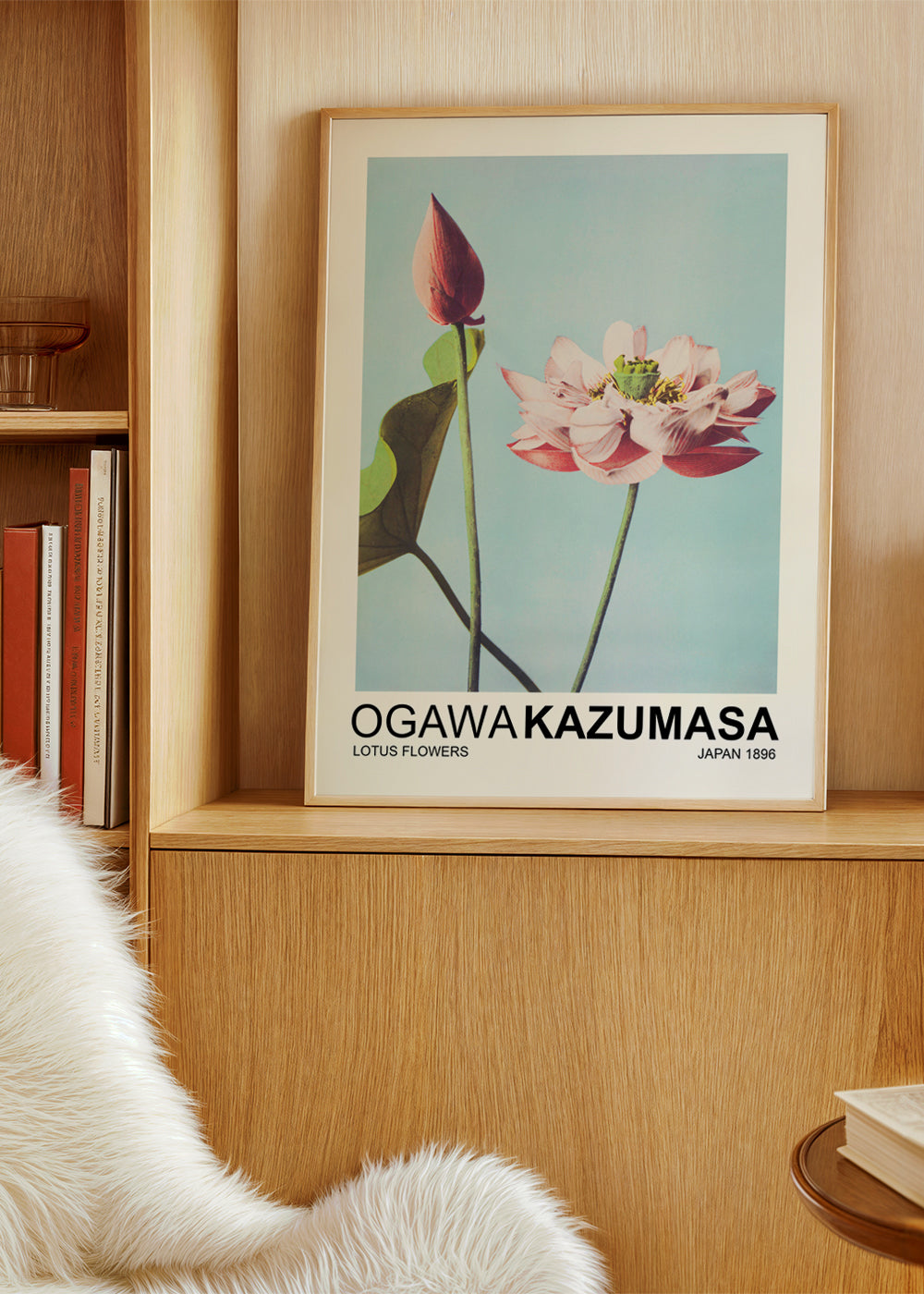 Lotus Flowers (Special Edition) - Ogawa Kazumasa
