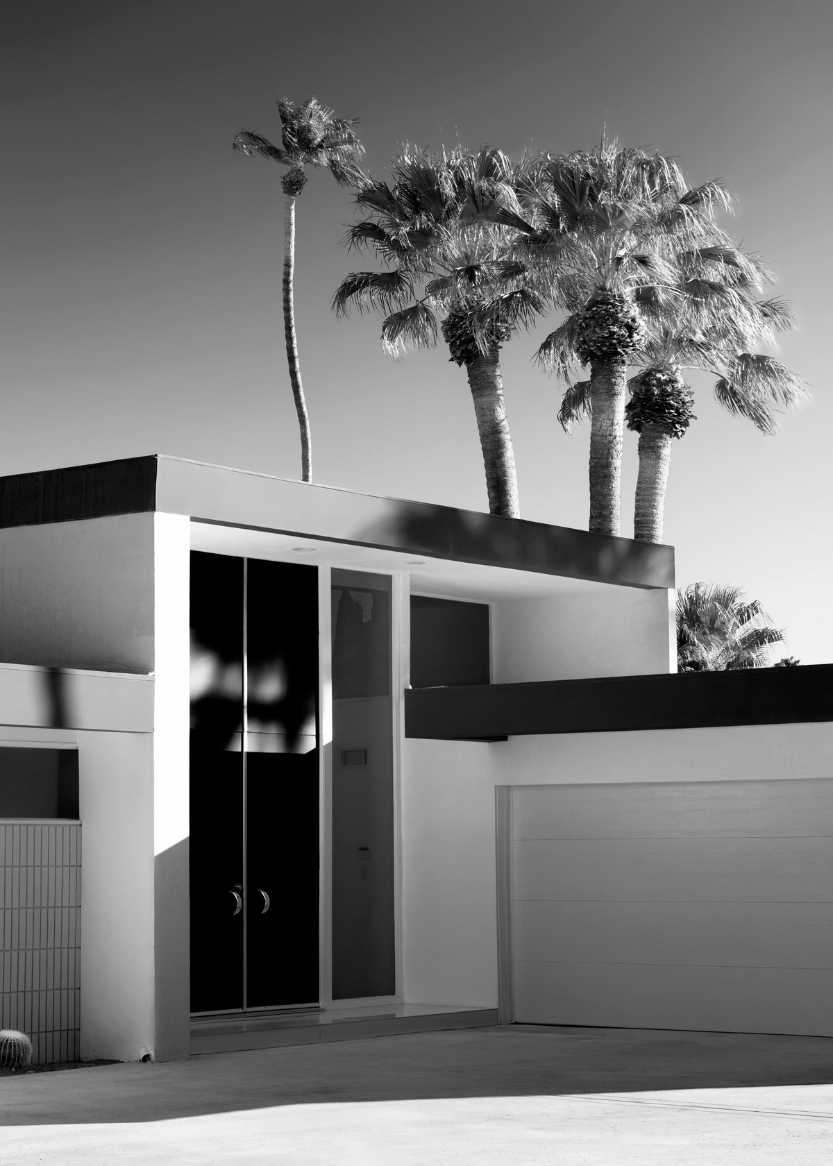 Black California - Palm Springs Modern Design - Unframed art print
