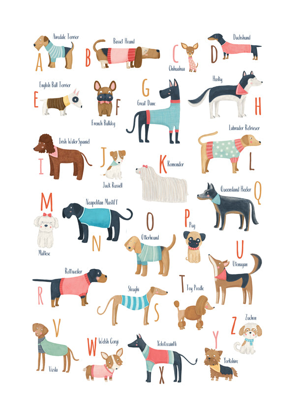 Alphabet Dogs Breed