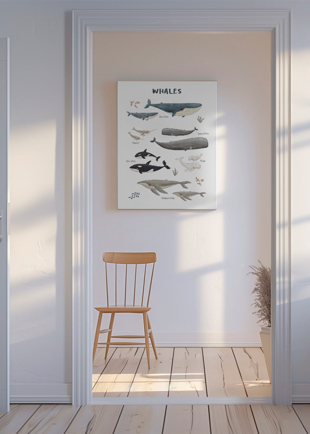 Ballenas fondo blanco (inglés)