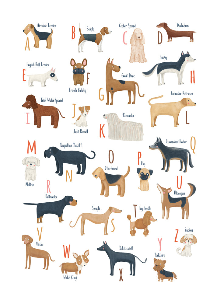 Abecedario con perros