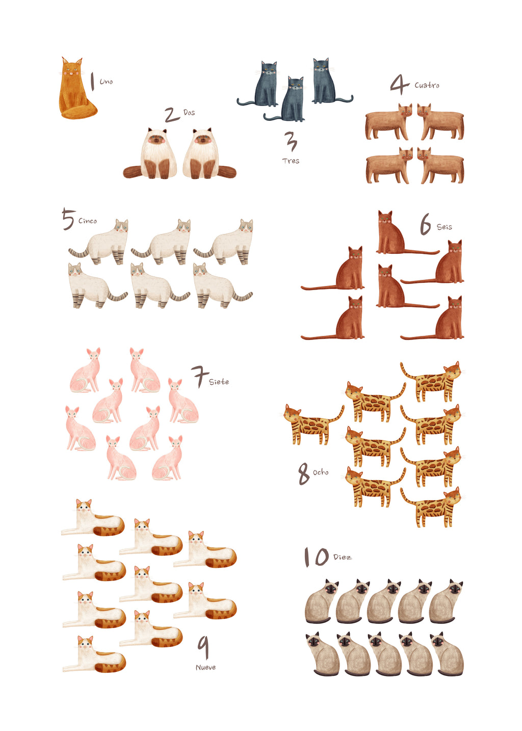 Números de 1 al 10 gatos (español) - Unframed art print