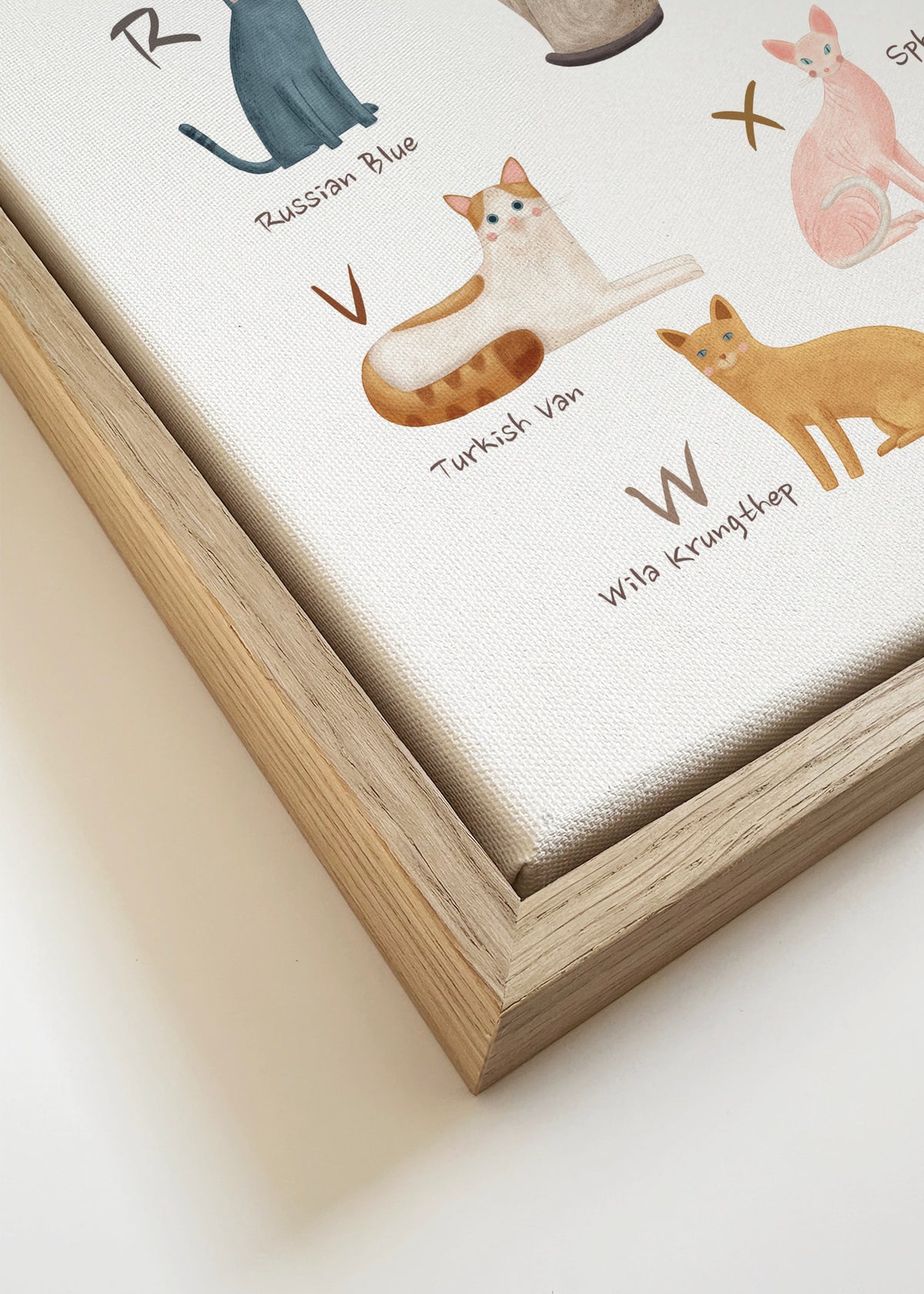 Abecedario gatos (ingles) - Framed canvas detail