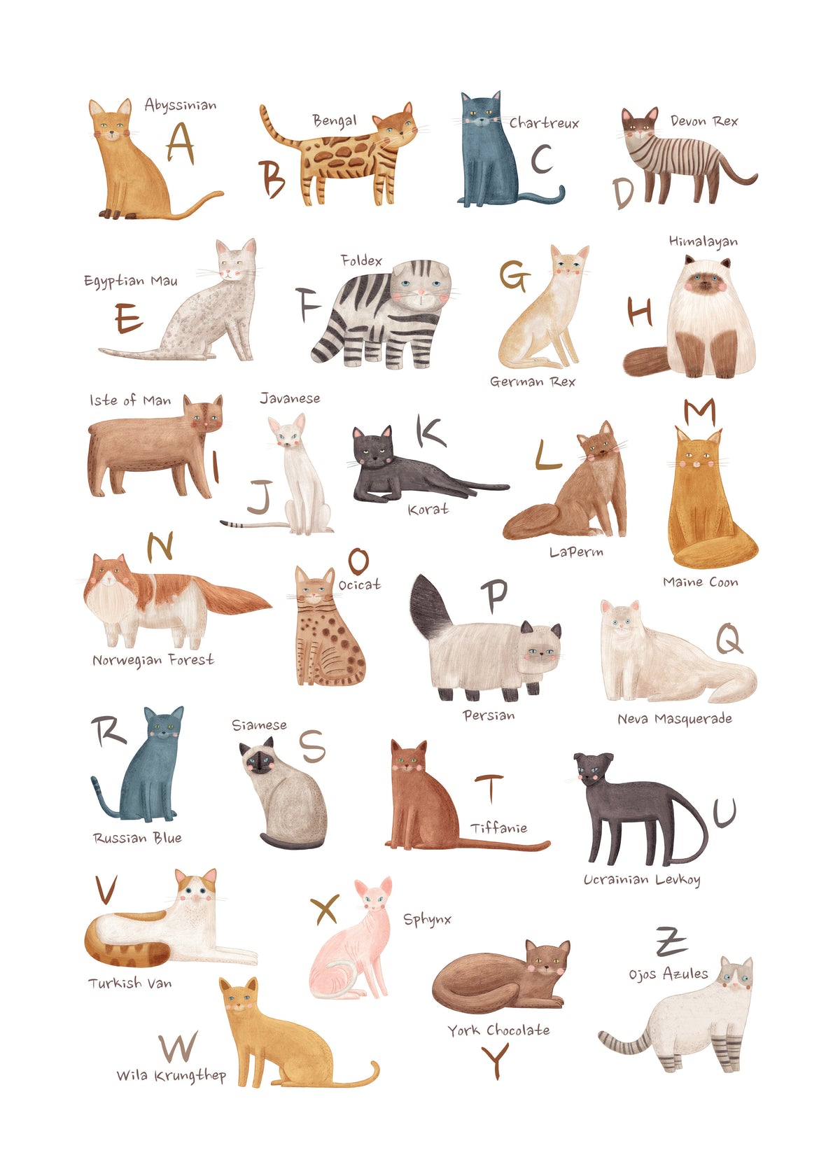 Abecedario gatos (ingles) - Unframed art print