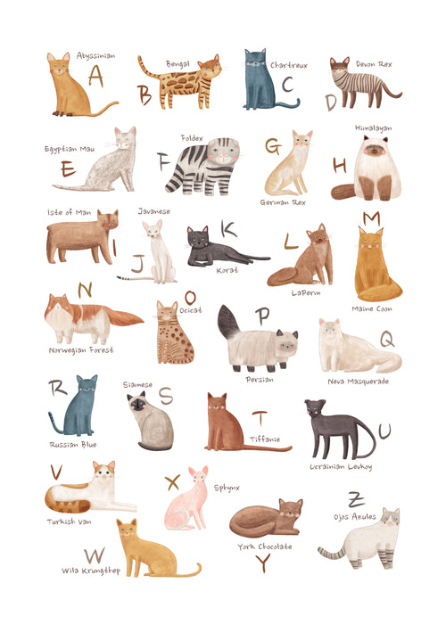Abecedario gatos (ingles) - Unframed art print