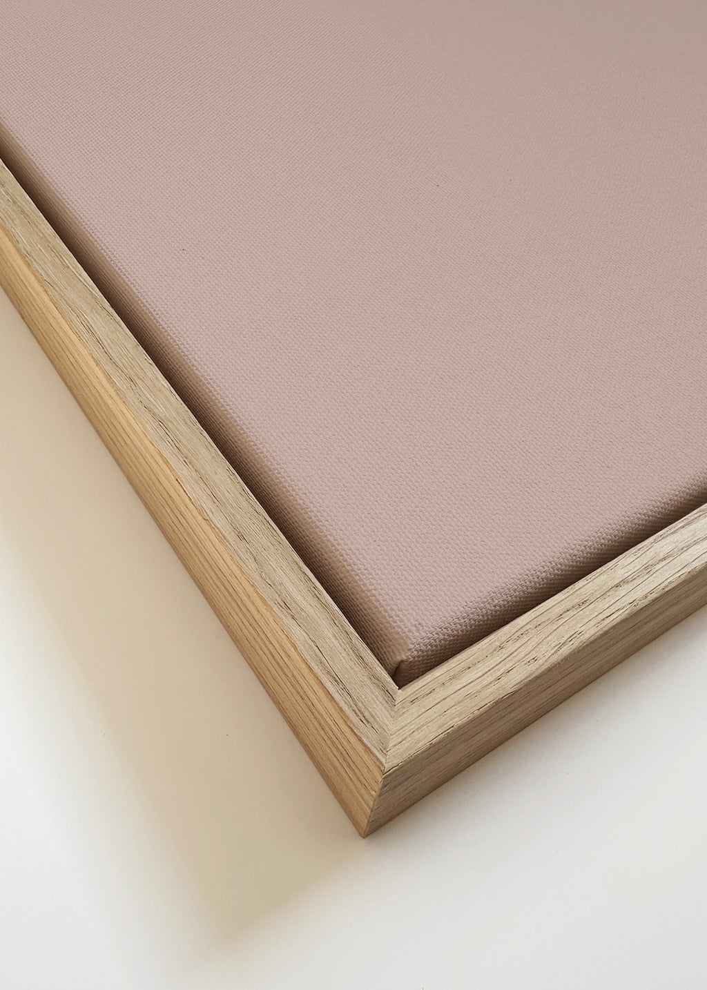 Lion - Framed canvas detail
