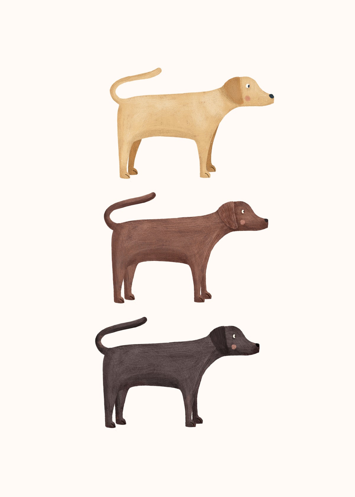 Three Labrador Retriever Dogs - Unframed art print