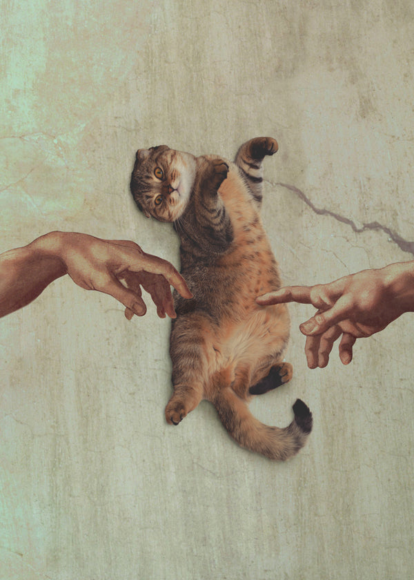 Touch of a Kityy
