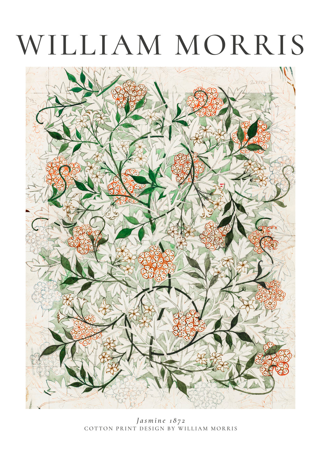William Morris Jasmine - Unframed art print