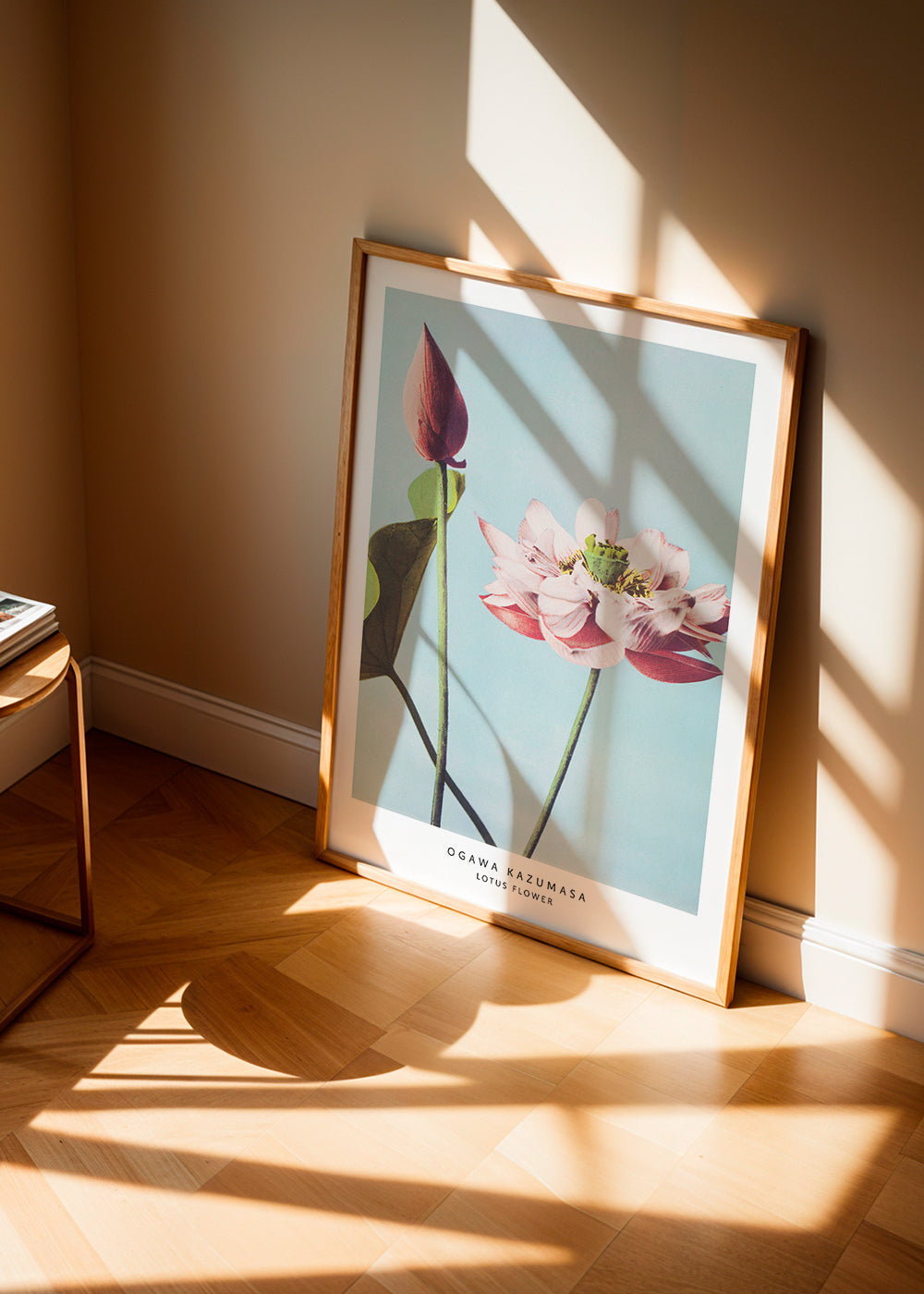 Ogawa Kazumasa Lotus Flowers