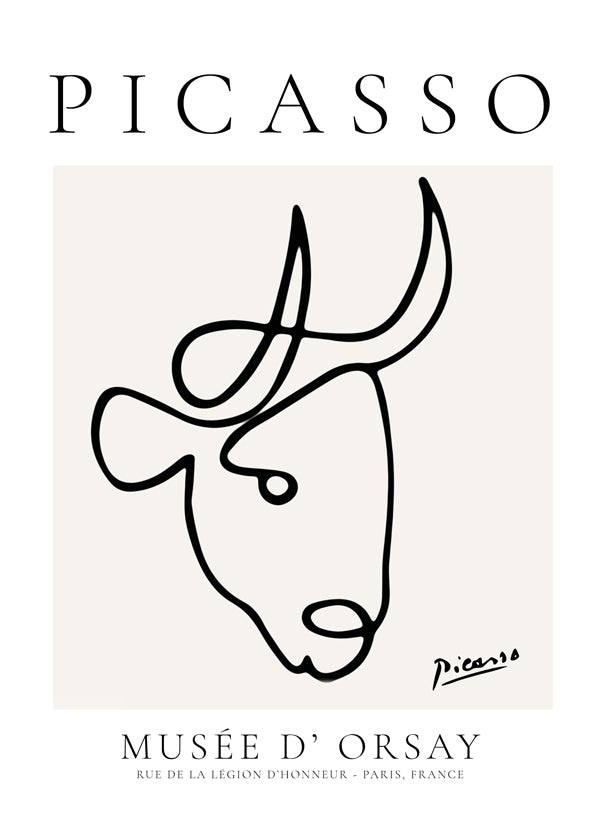Pablo Picasso Animals Drawings the bull
