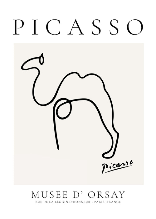 Pablo Picasso Animals Drawing cammel - Unframed art print