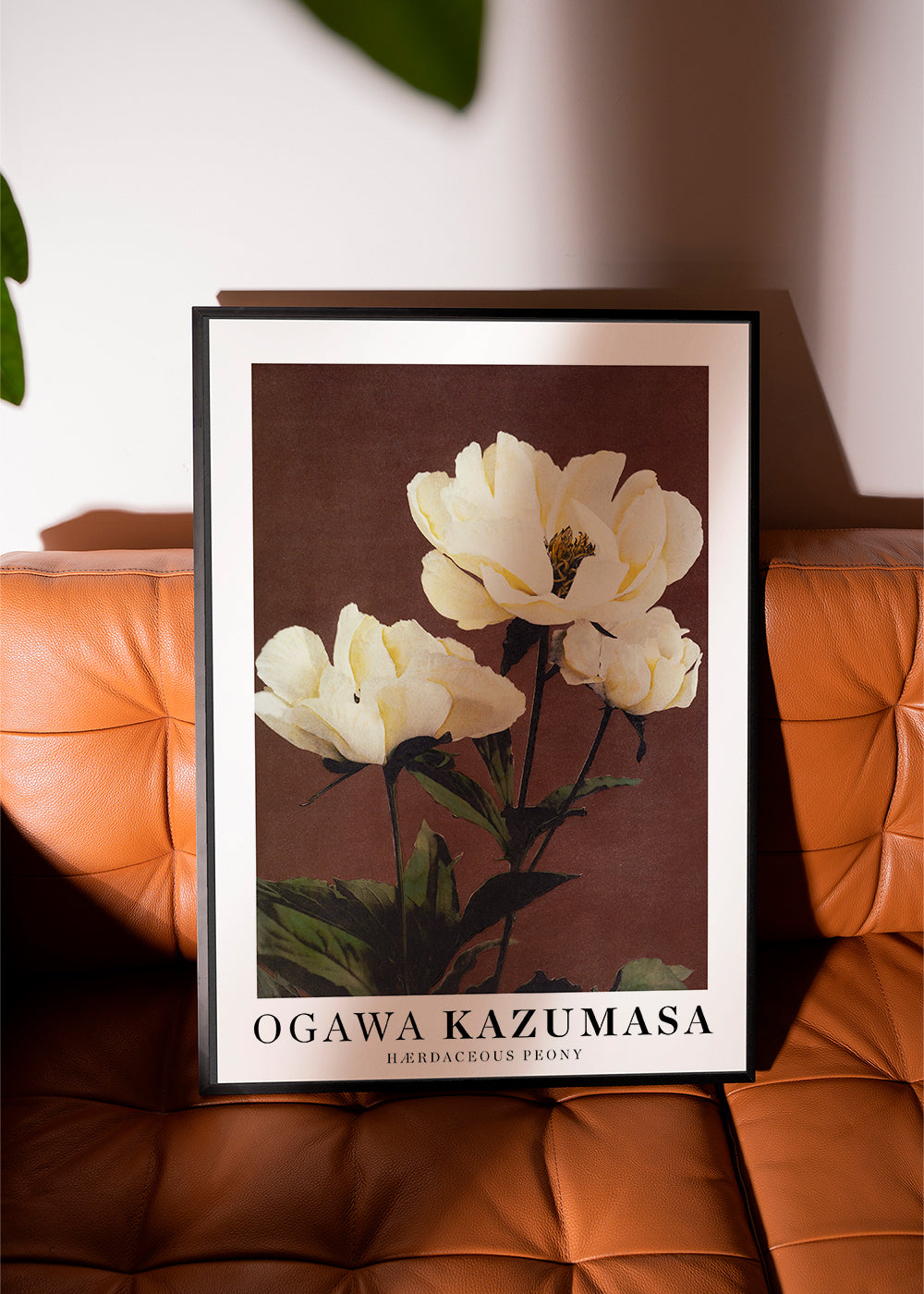 Ogawa Kazumasa peony