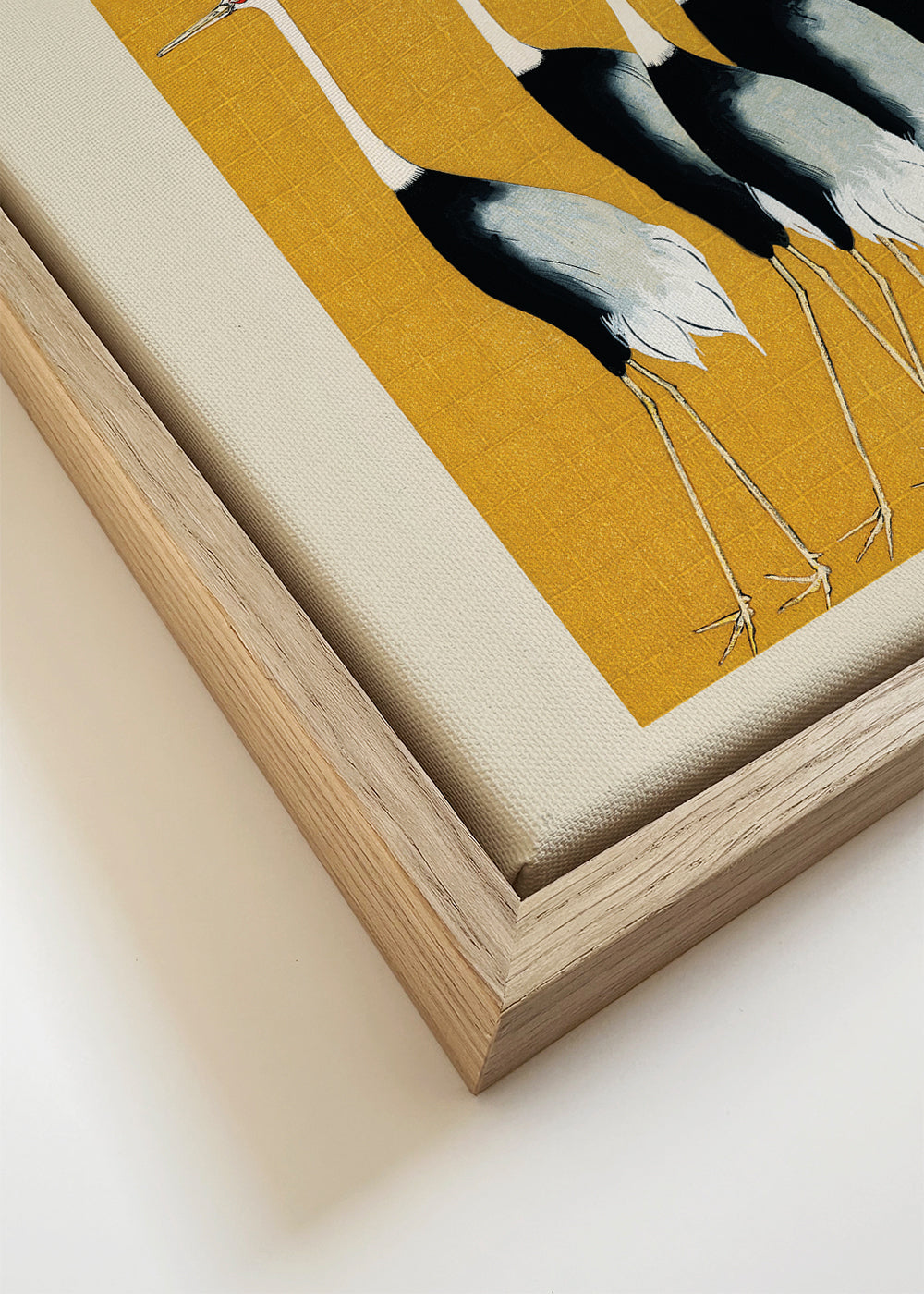 Japanese red-crowned crane vintage illustration