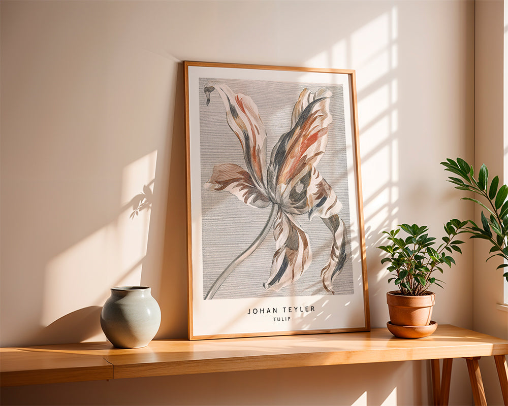 Johan Teyler Tulip