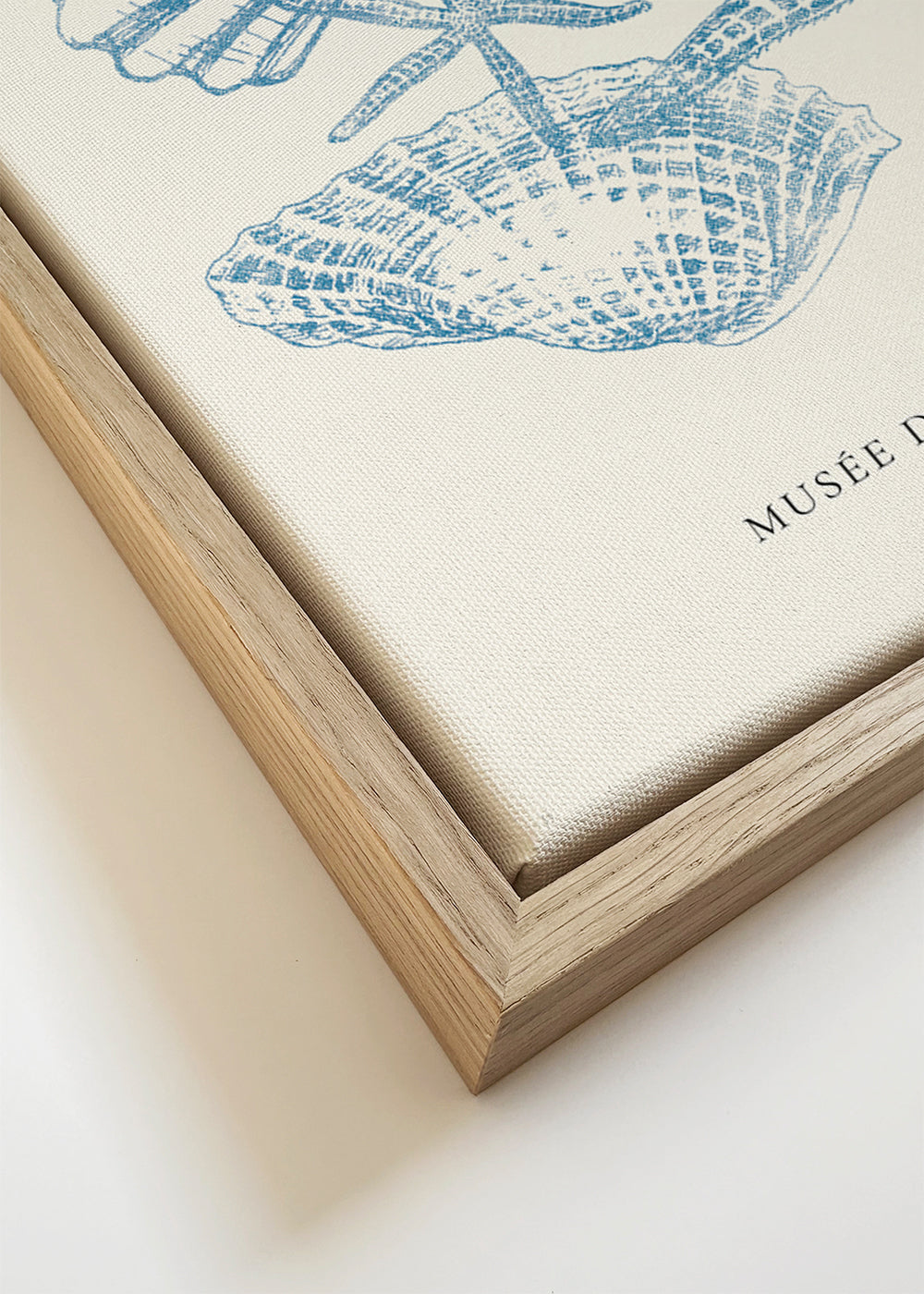 Exposition de linogravure, Sealife (la vie marine)