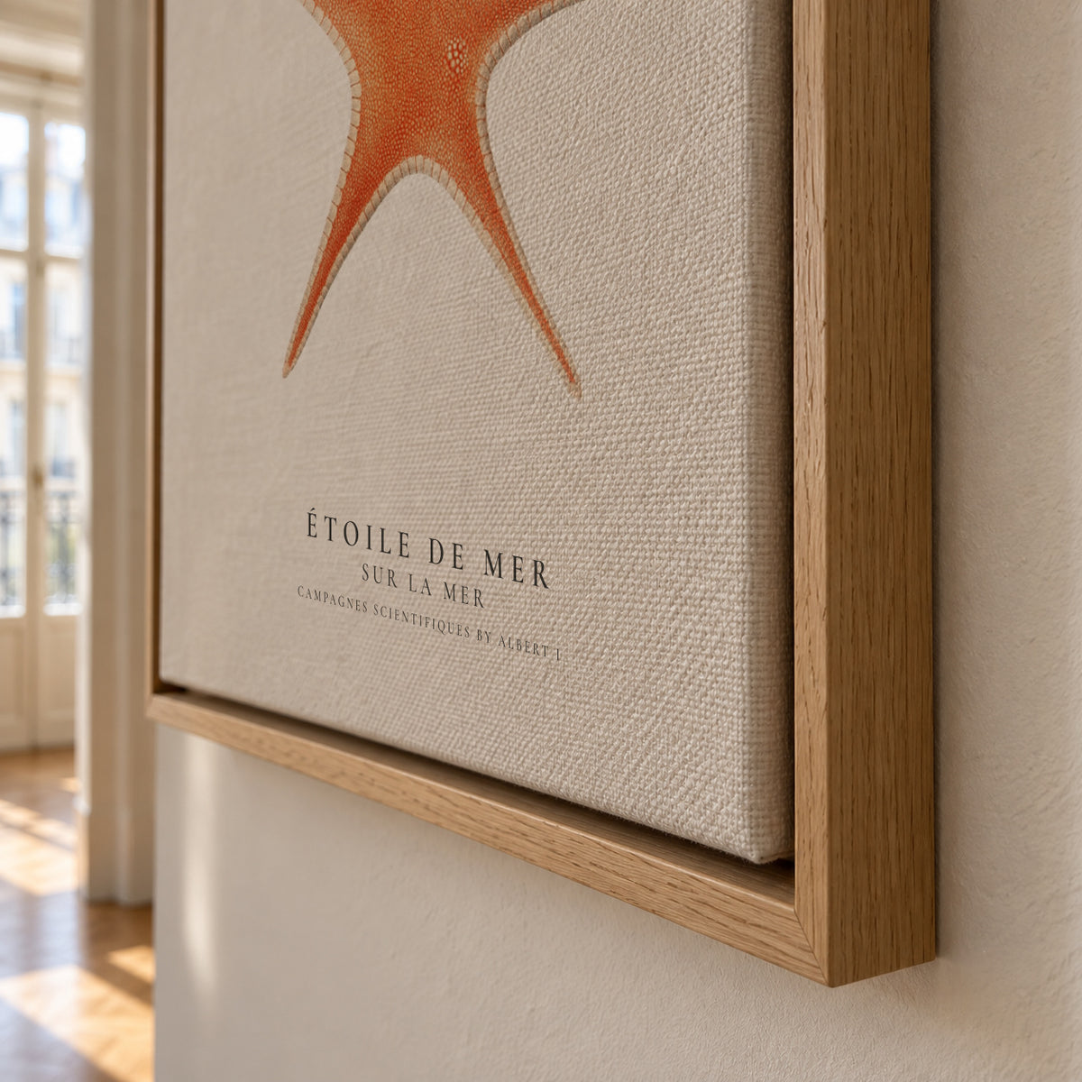 Starfish (Étoile de mer) I - Sealife Collection - Framed canvas detail