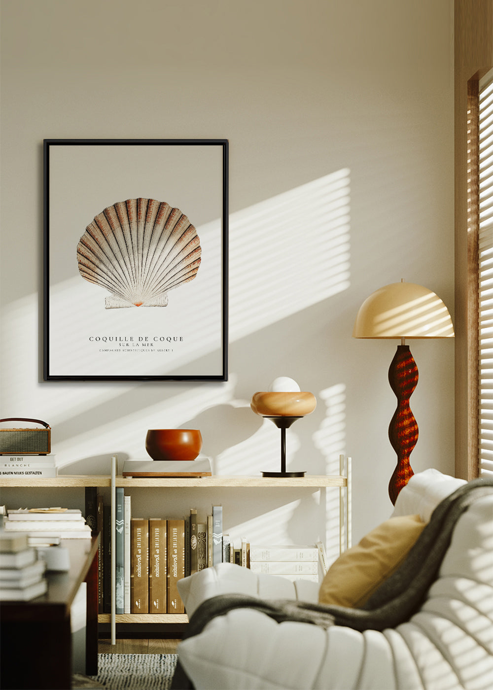 Seashell (coquille de coque) - Sealife Collection