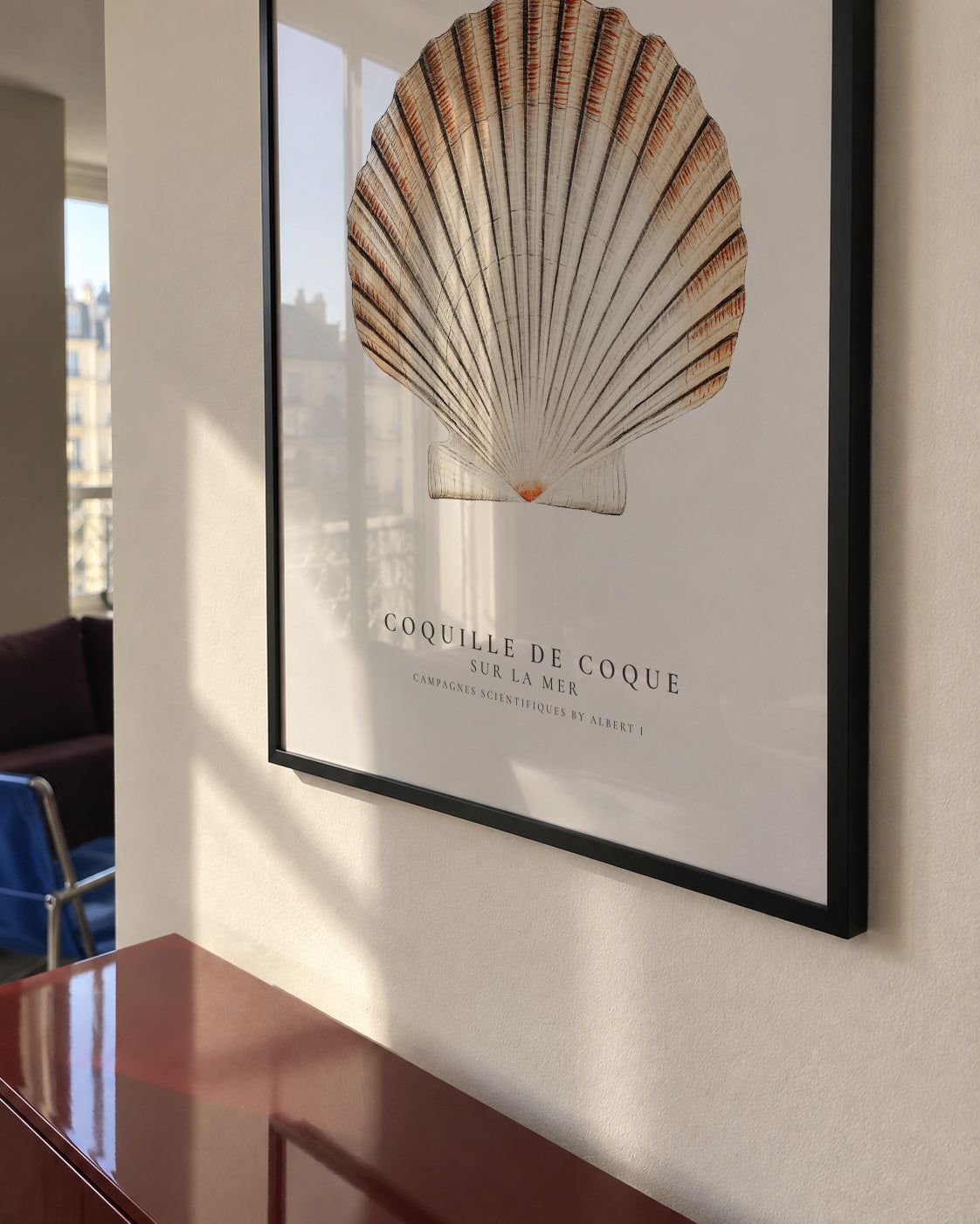 Seashell (coquille de coque) - Sealife Collection - Framed poster in an interior