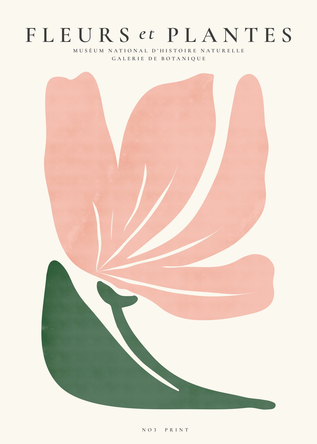 Botanical, Fleurs et plantes - Poster No. 3 - Unframed art print