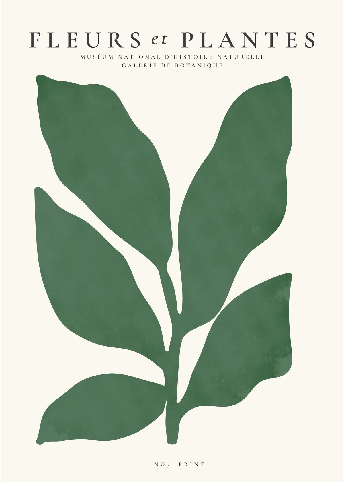 Botanical, Fleurs et plantes - Poster No. 7 - Unframed art print
