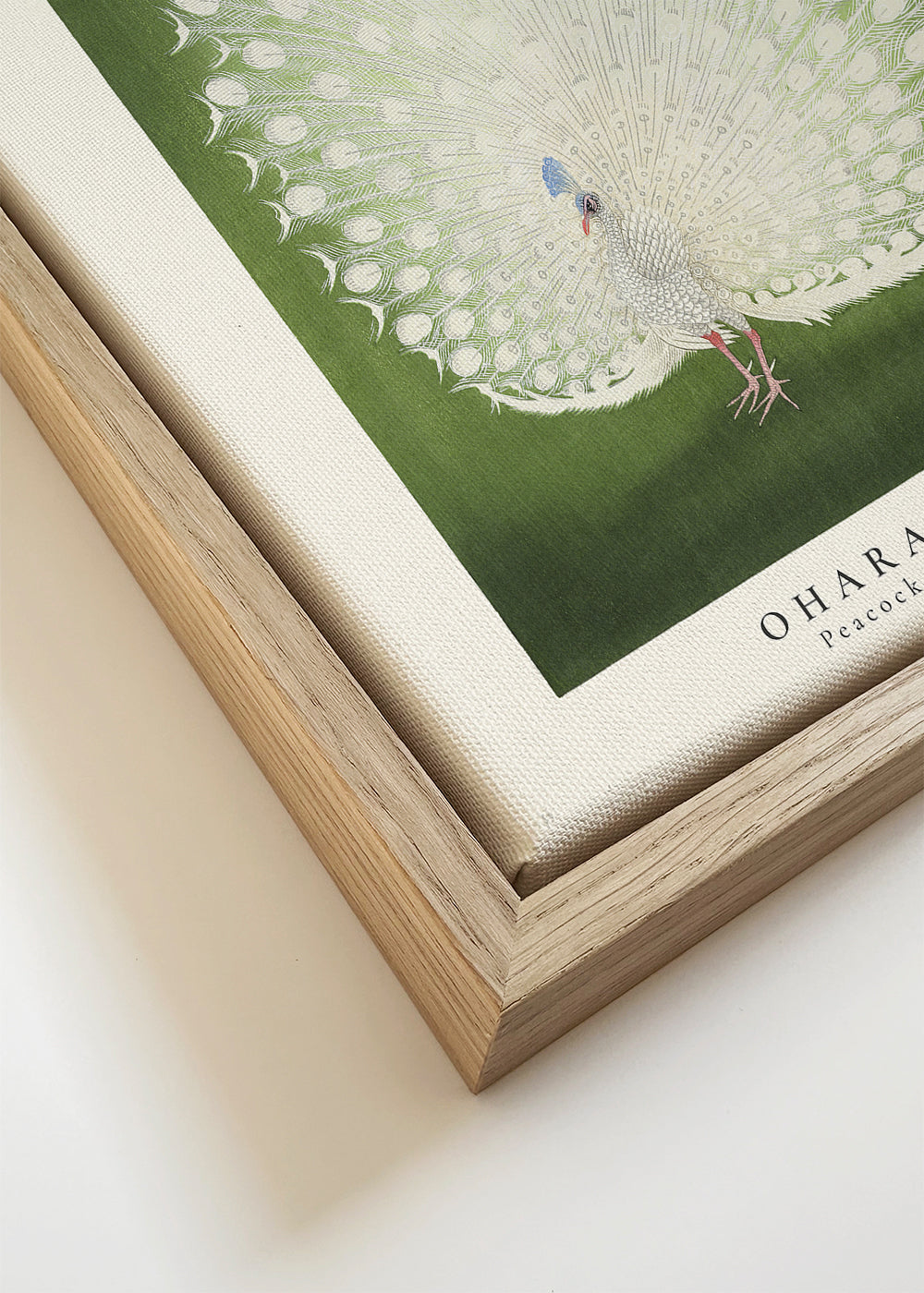 Ohara Koson, Peacock - SQUARE