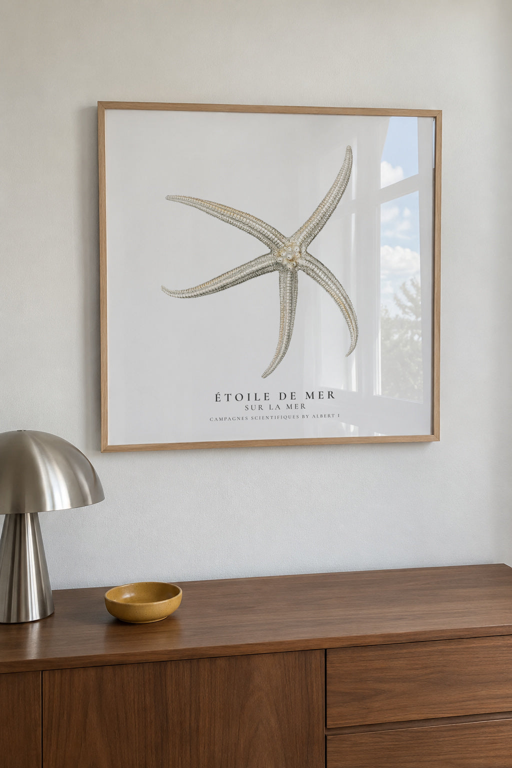 Starfish (Étoile de mer) II - Sealife Collection - SQUARE - Framed poster in an interior
