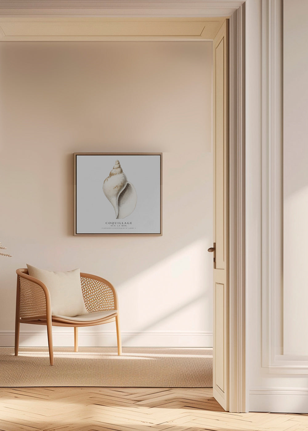 The gastropod shell (Coquillage) - Sealife Collection - SQUARE