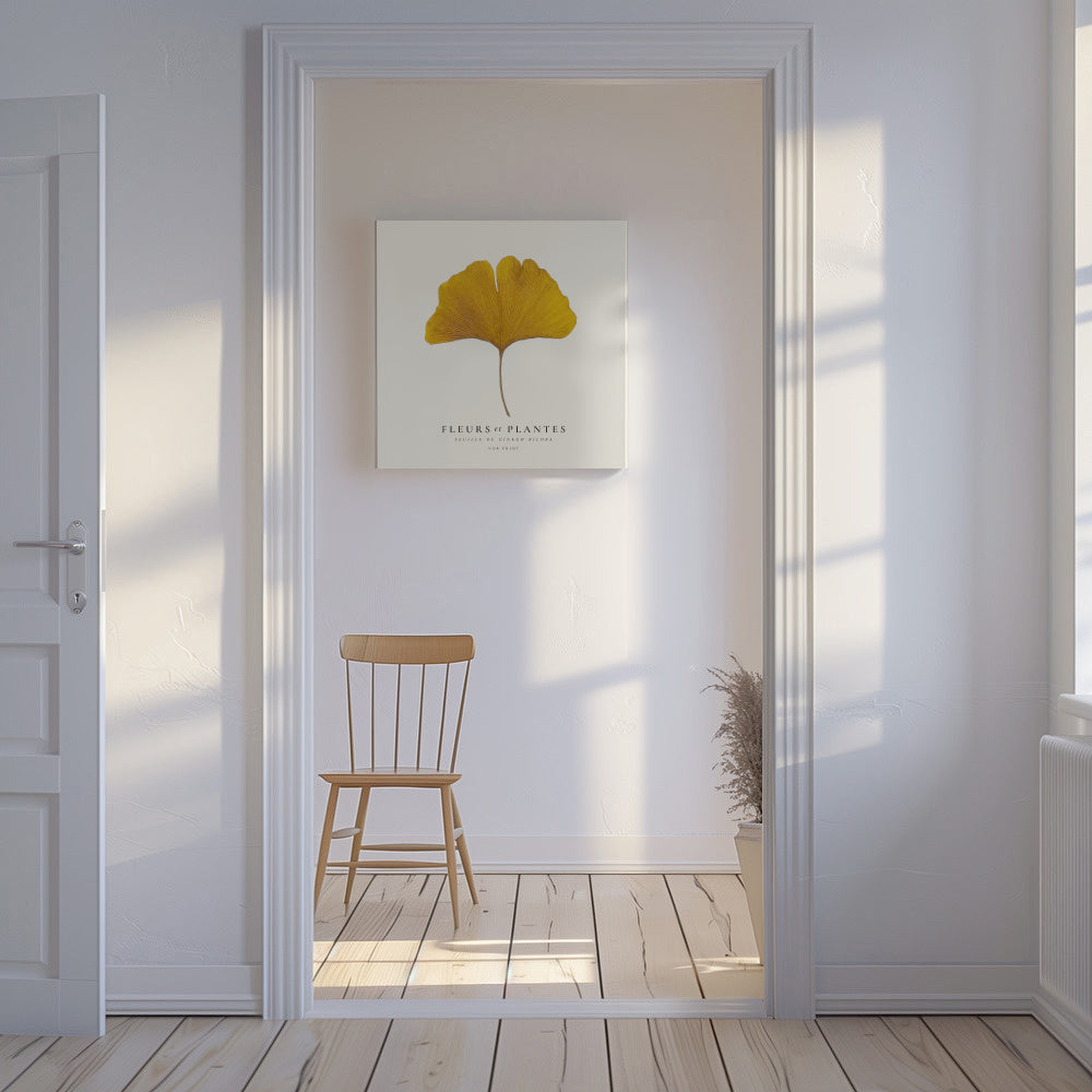 Botanical, Fleurs et plantes -Ginkgo biloba leaf - SQUARE - Unframed canvas in an interior