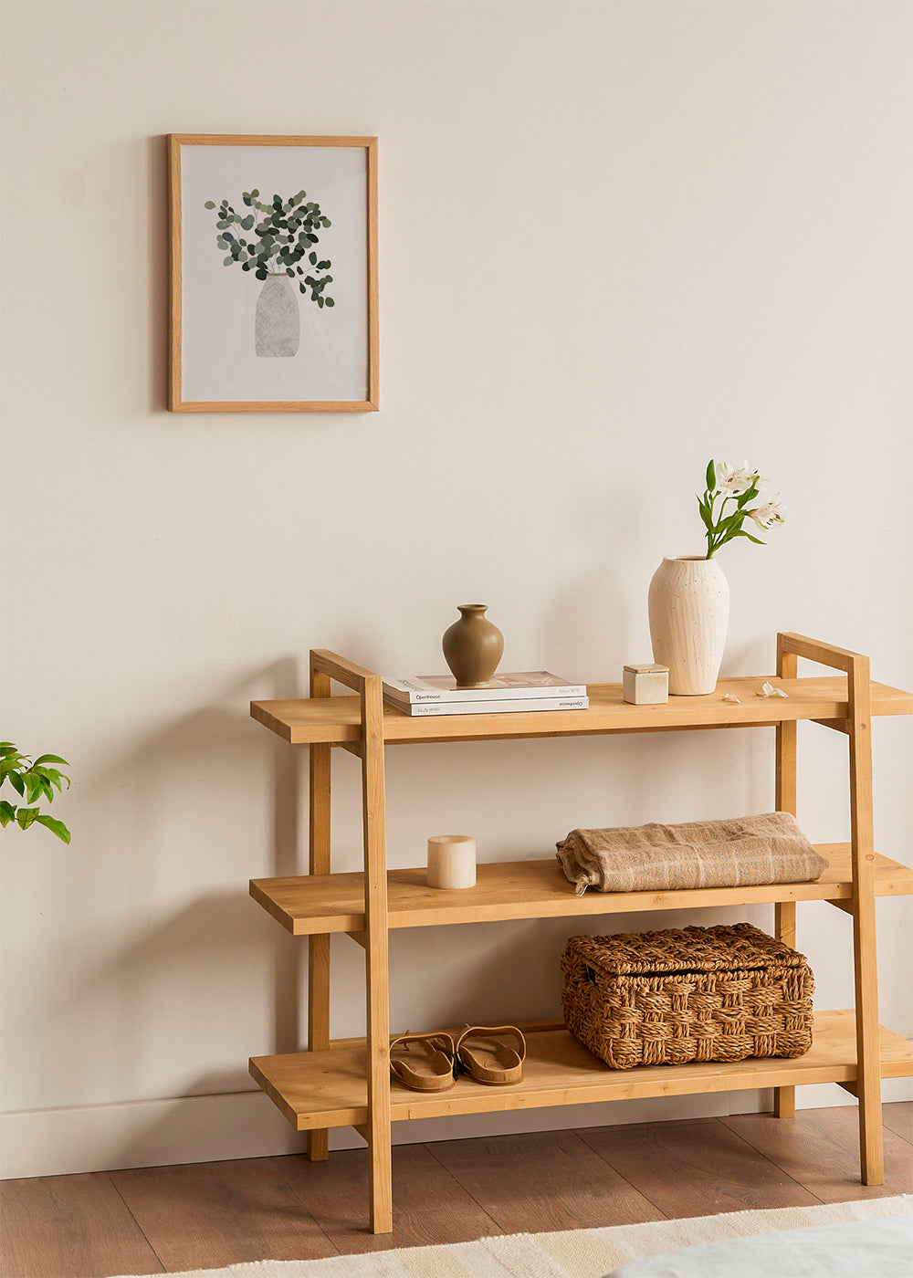 Scandi Japandi Houseplant 3