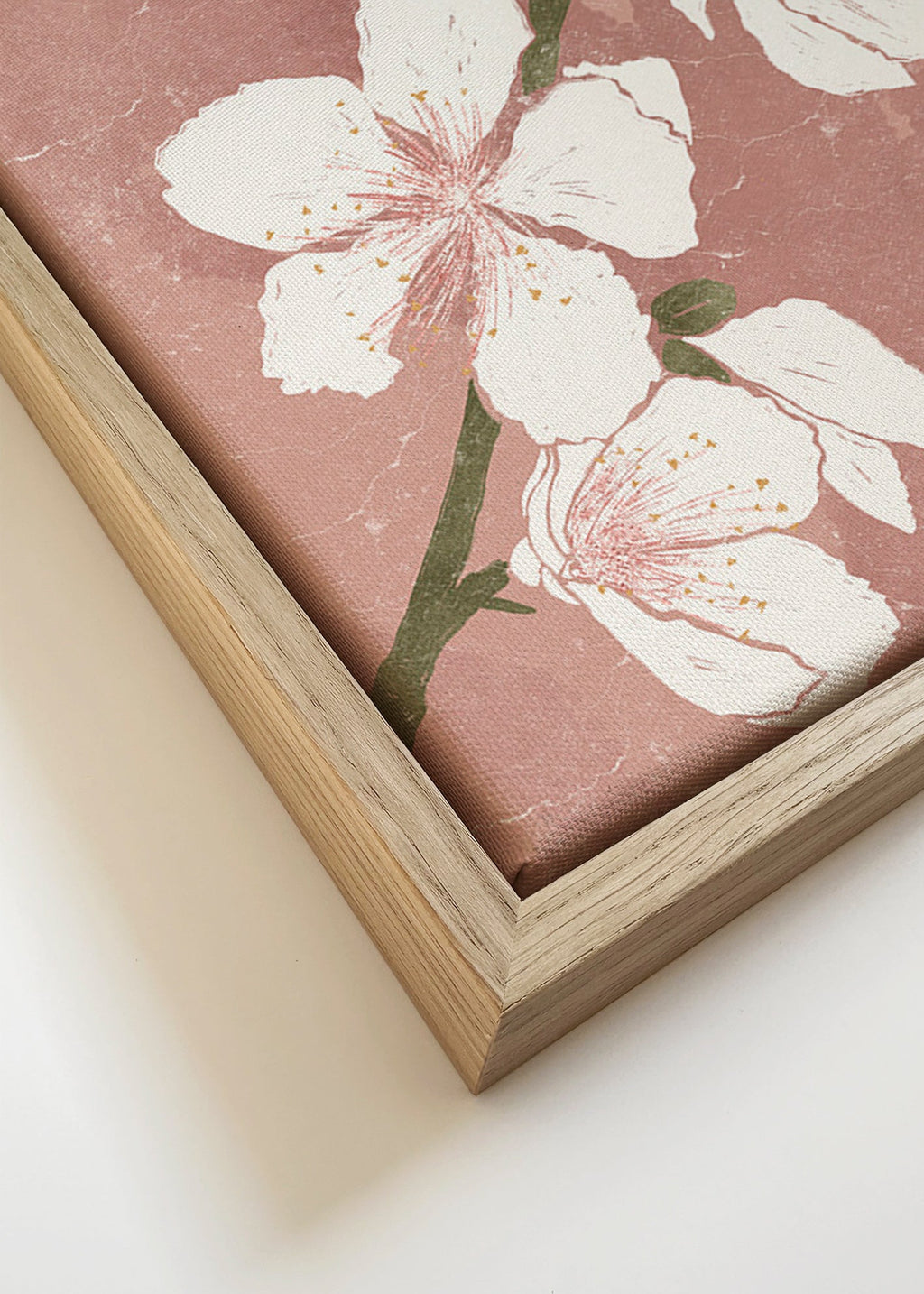 Lámina botánica con flor sobre fondo rosa – Canvas detail