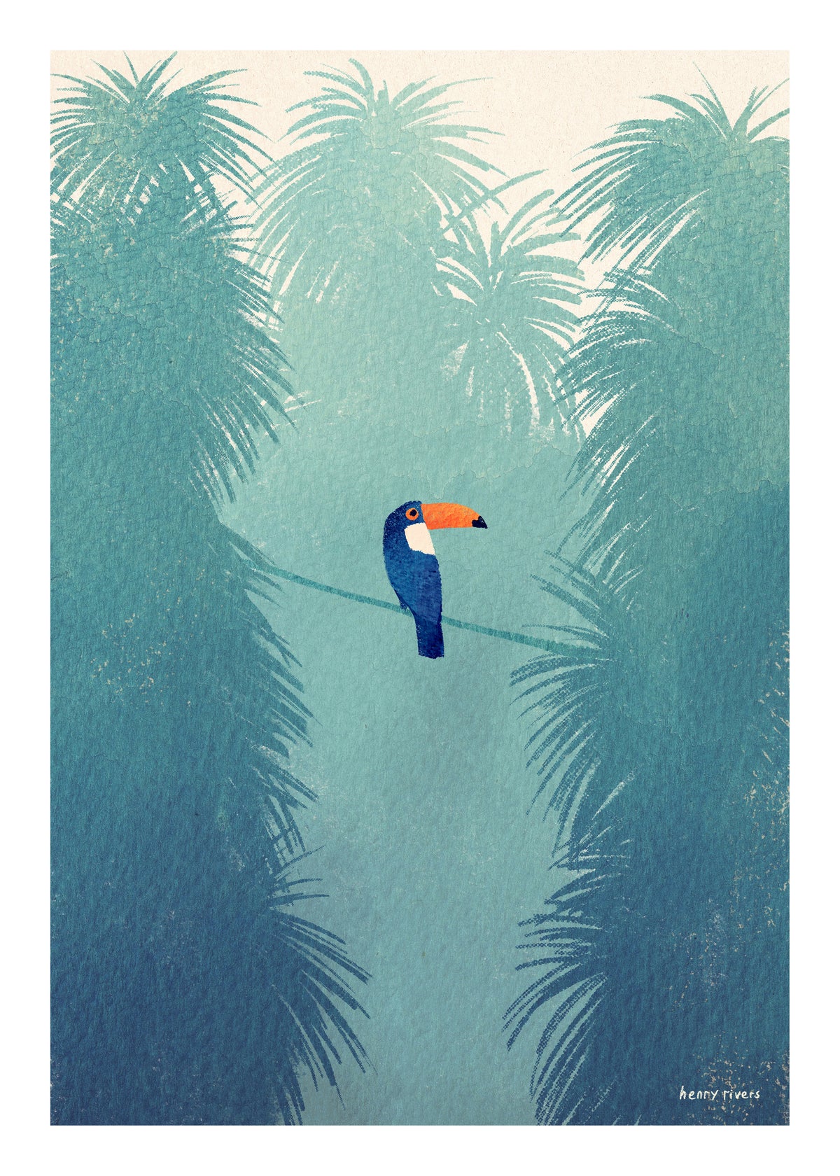 Toucan - Unframed art print