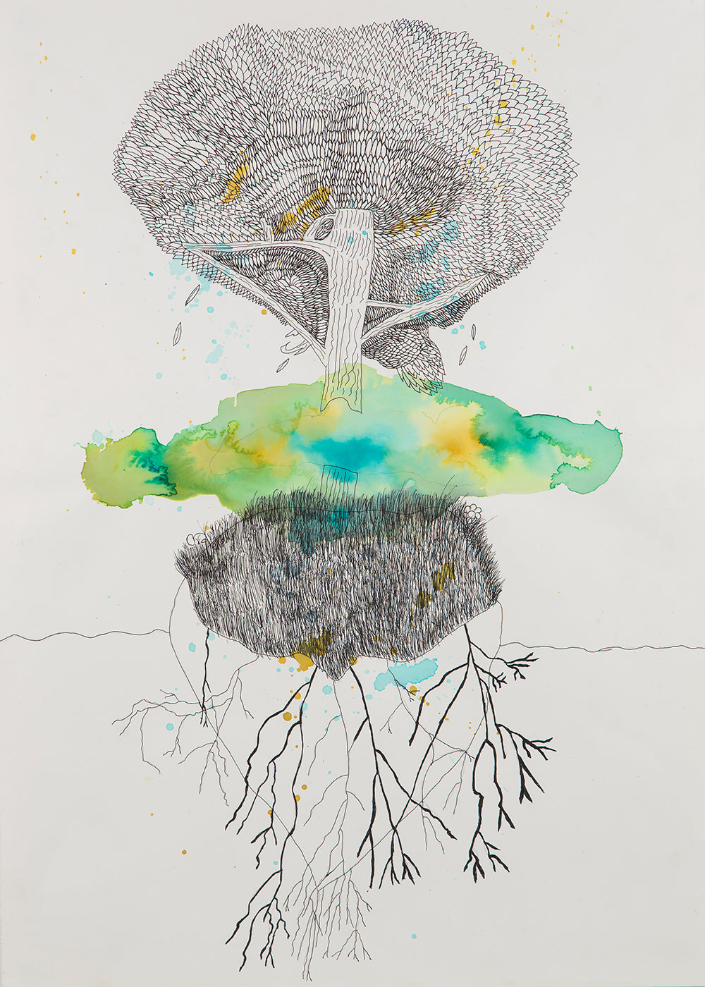 Lámina botánica árbol y raíces en tinta y acuarela