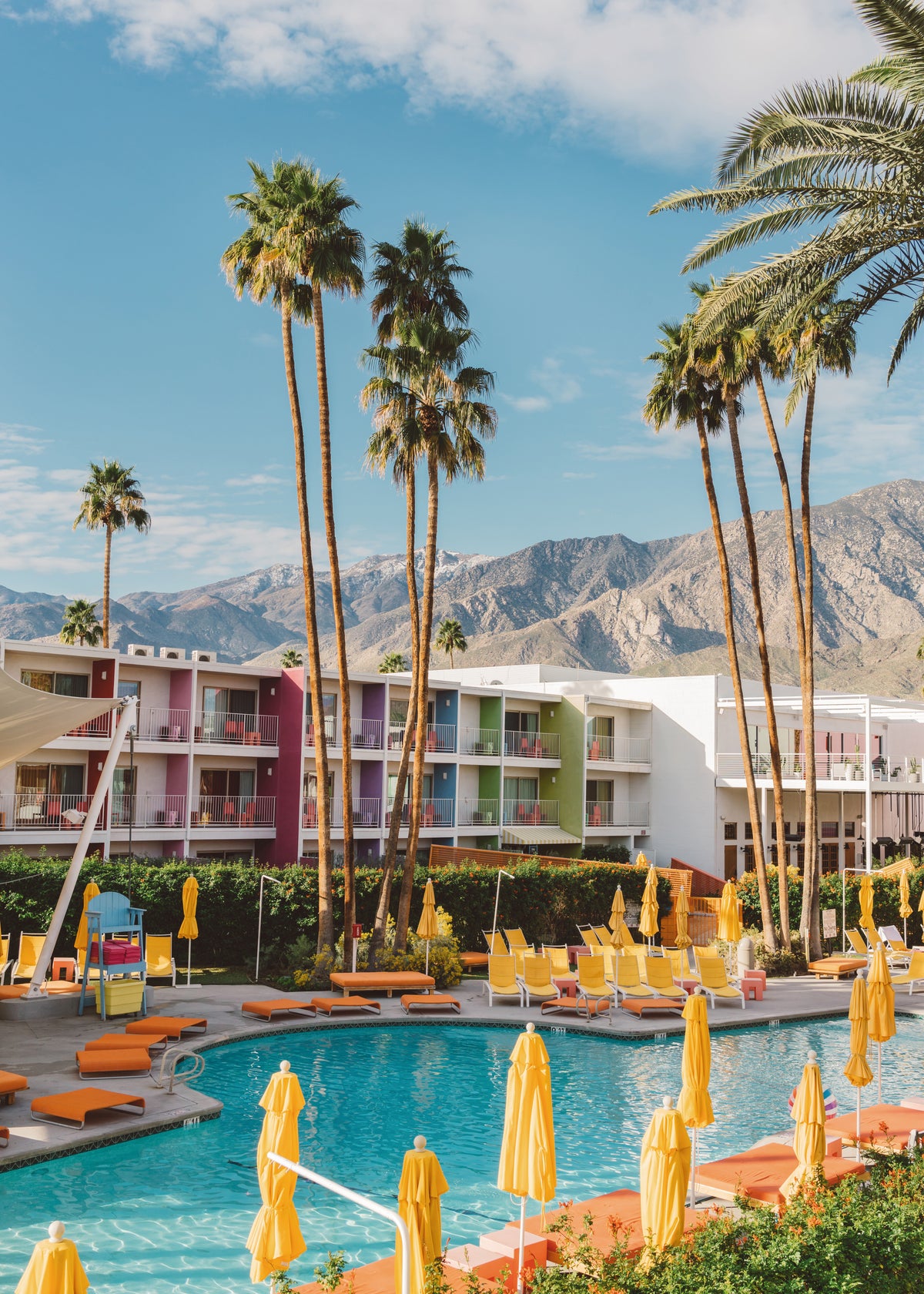 Palm Springs Saguaro - Unframed art print
