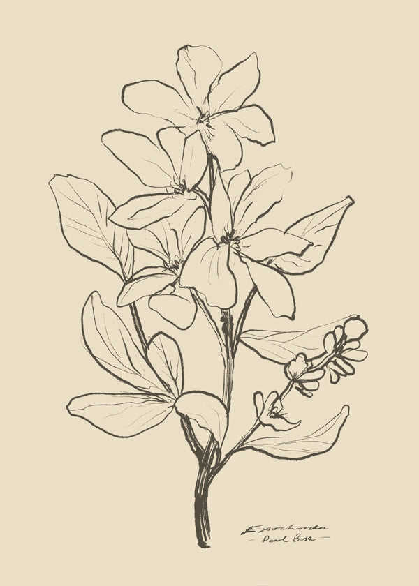 Floral 1