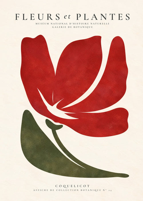 Red Poppy - Unframed art print