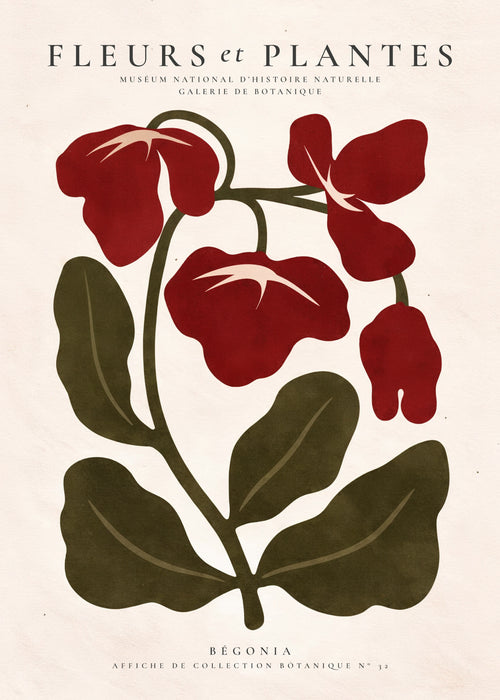 Red Begonia - Unframed art print