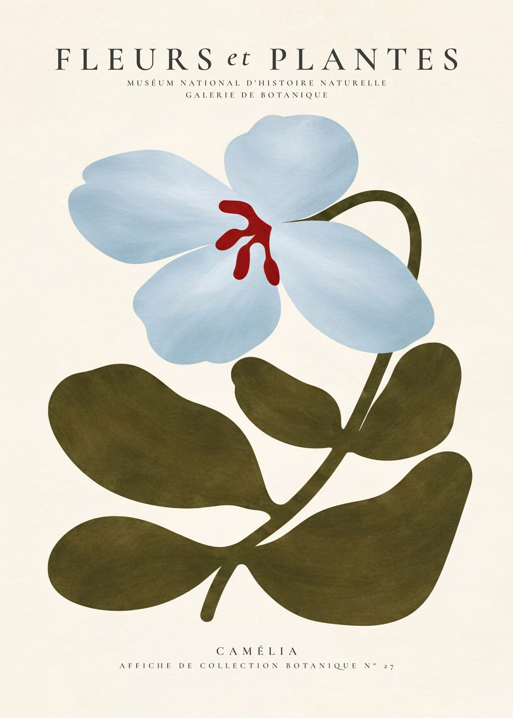 Blue Camellia - Unframed art print