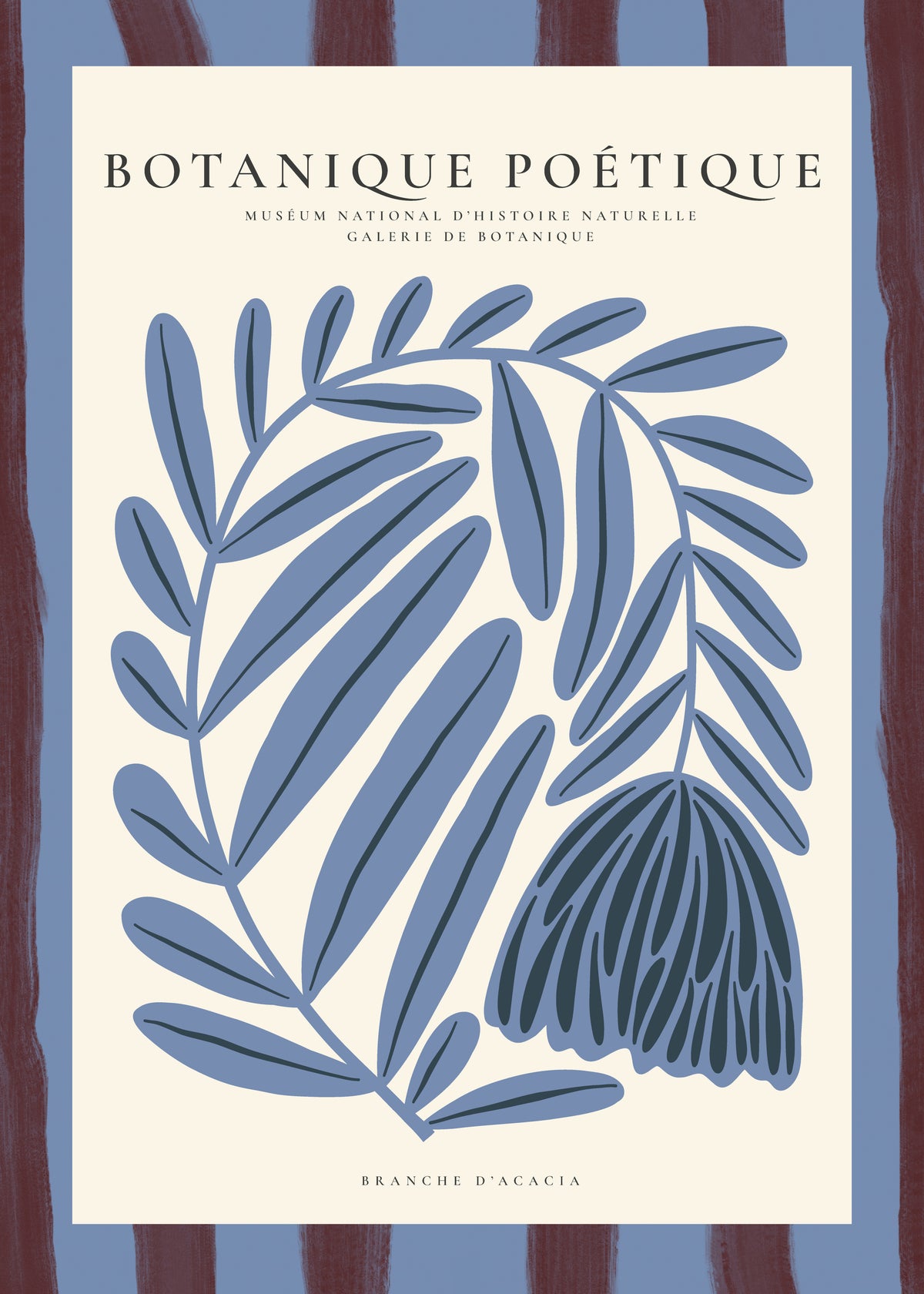 Blue Acacia - Unframed art print