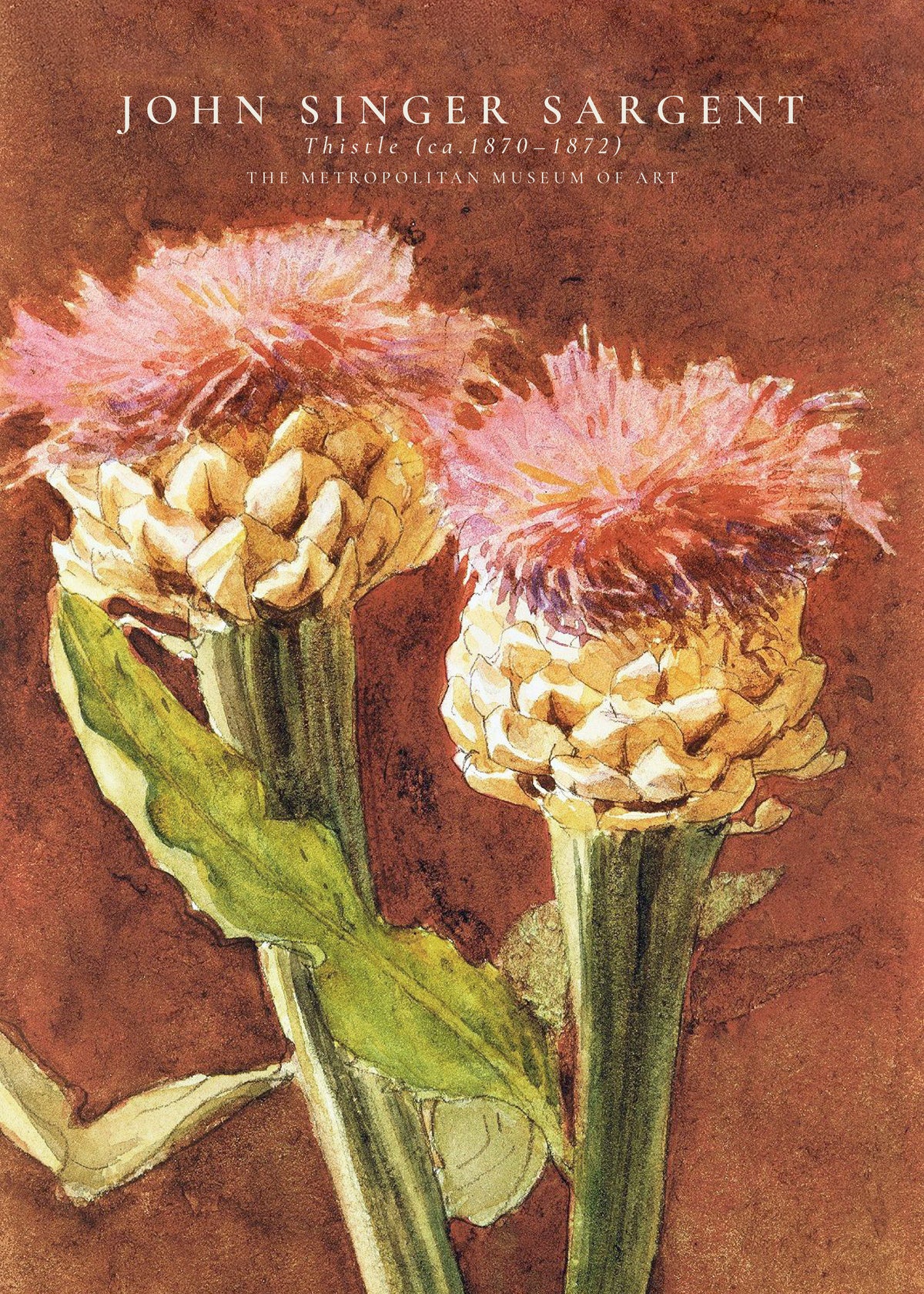 John Singer Sargent Thistle - Unframed art print