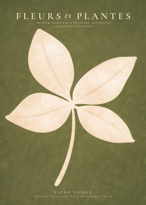 Minimal Leaf - Unframed art print