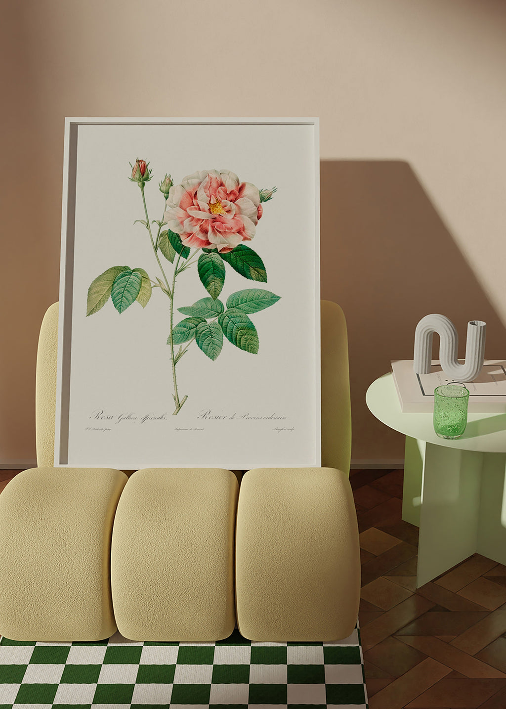 Lámina botánica Rosa Gallica en lámina científica – Product2
