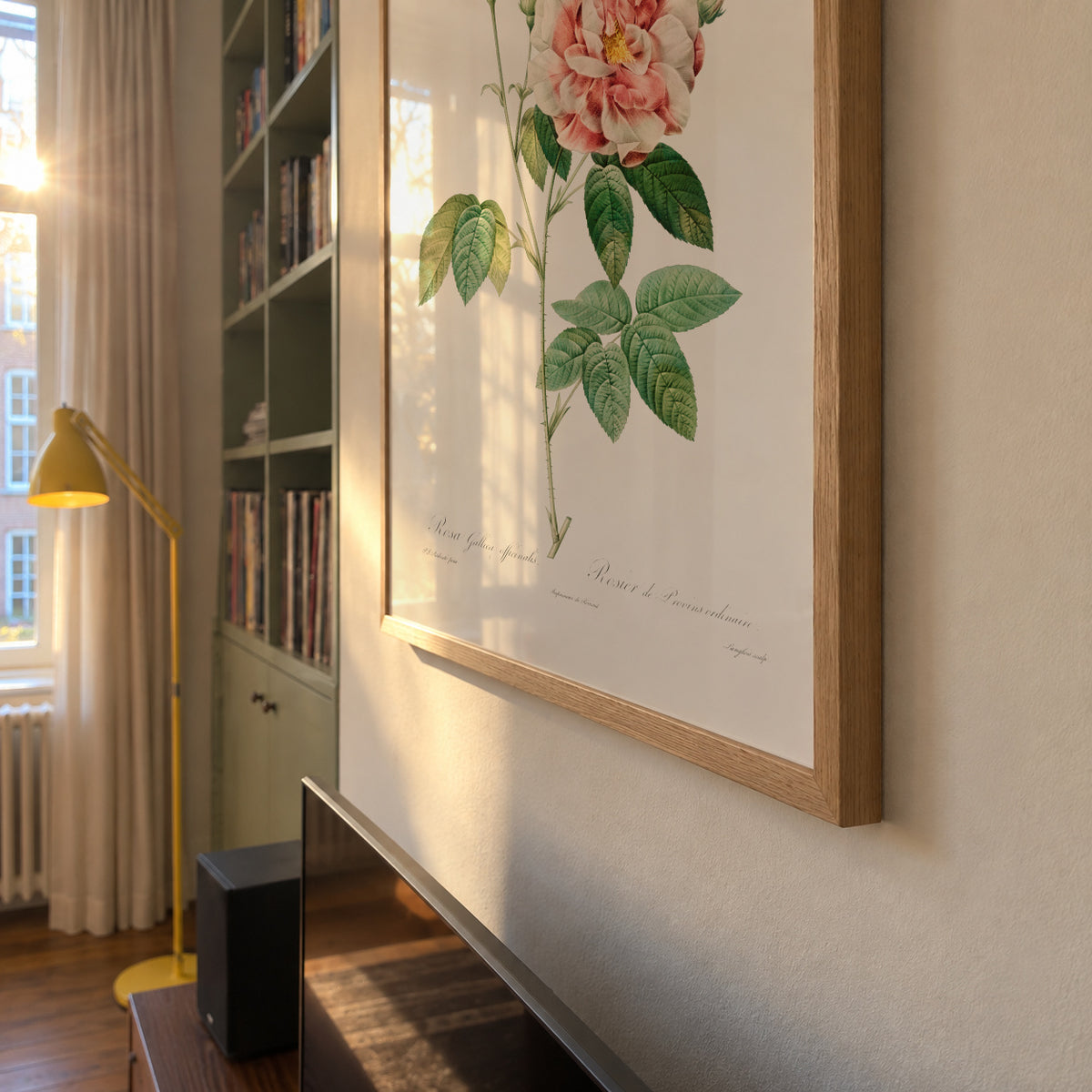 Rosa Gallica - Framed poster detail