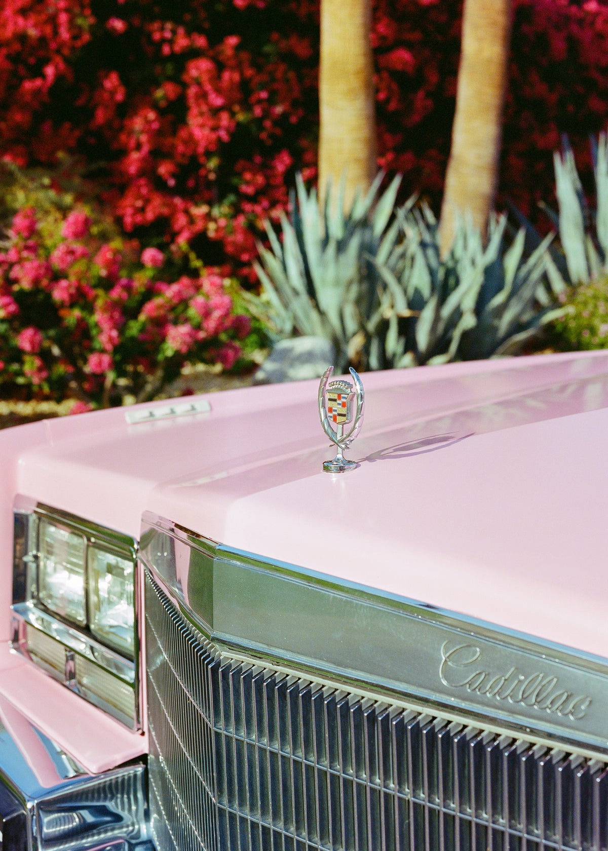 Palm Springs Ride III - Unframed art print